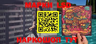 шишки Гай