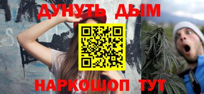 шишки Гай
