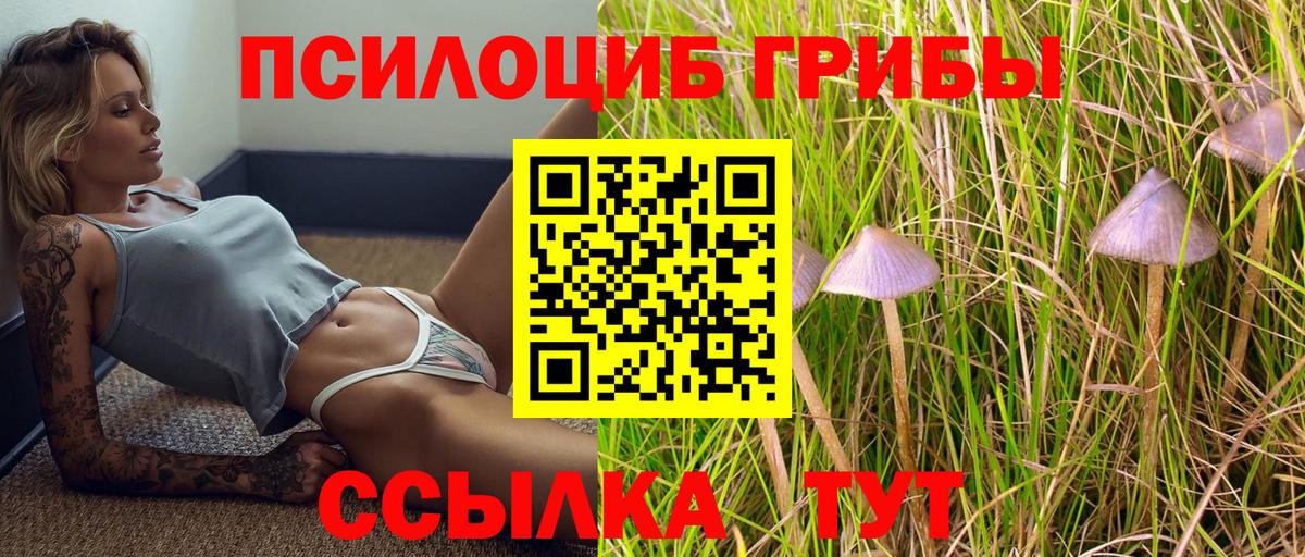 Лиски  Псилоцибиновые грибы прущие грибы  Вход с VPN 