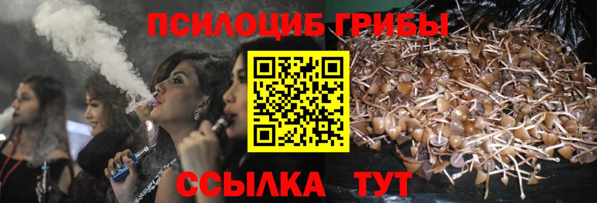 Псилоцибиновые грибы мицелий Лиски