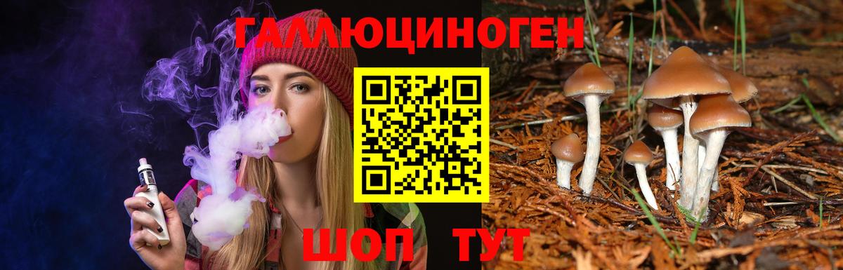 Псилоцибиновые грибы Psilocybine cubensis  Лиски 